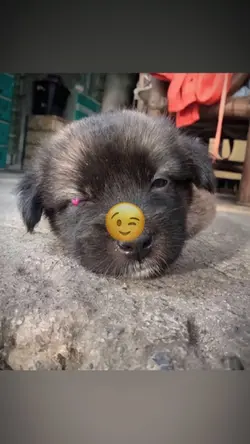 TREND NHÁY MỘT MẮT 💸