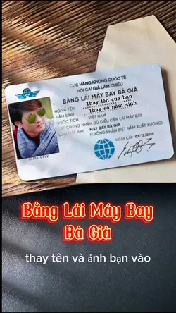 Bằng Lái Máy Bay