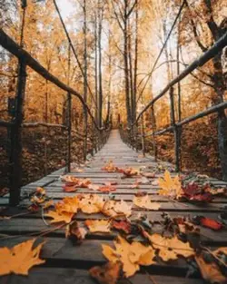 welcome september
