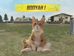 booyah
