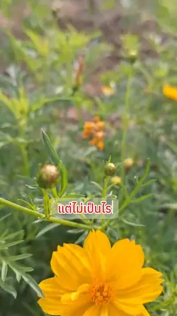 คำคม