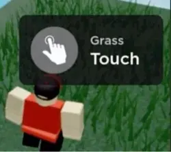 NO!