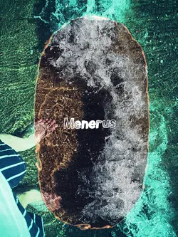 filter aesthetic