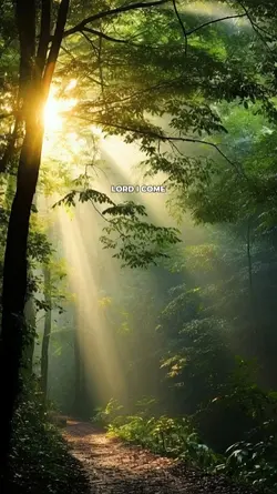 heal me o lord