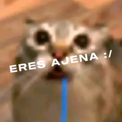 ERES AJENA