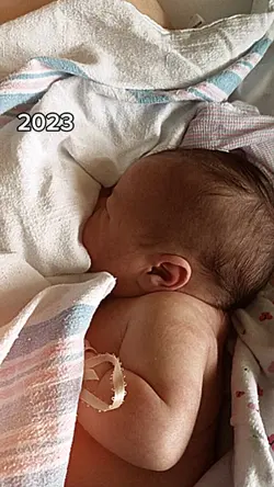 2023vs2024