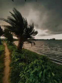 আমার দেহের মাঝে