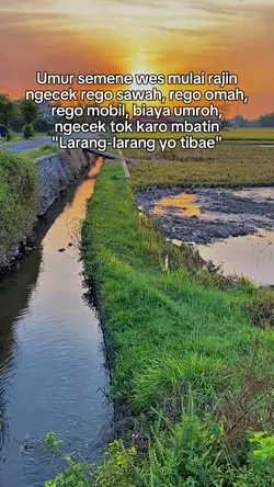 rajin ngecek rego