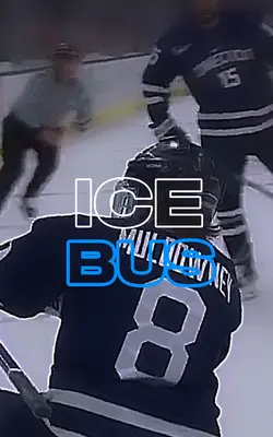 ICE BUS