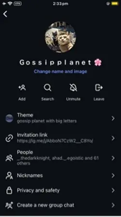 Gc video