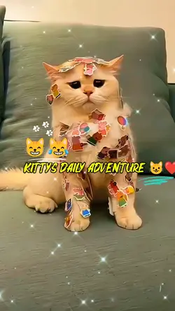 Cat Adventure 