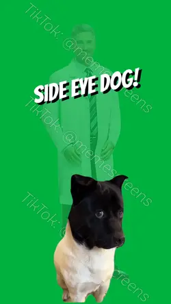 SIDE EYE DOG MEME