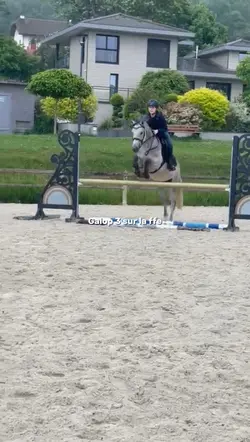 Galop 3 sur la ffe