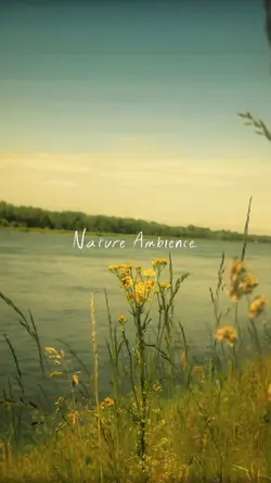Nature Ambience