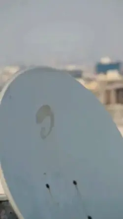 viral 