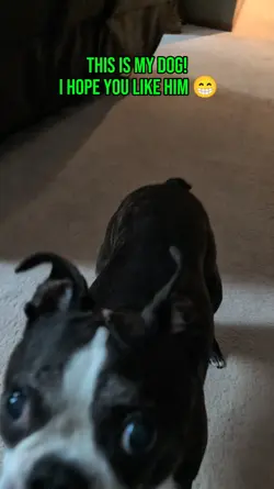 Frankie!!!!