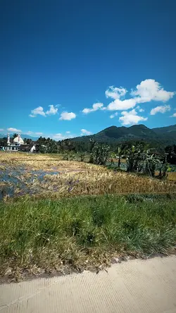 Mentahan Video