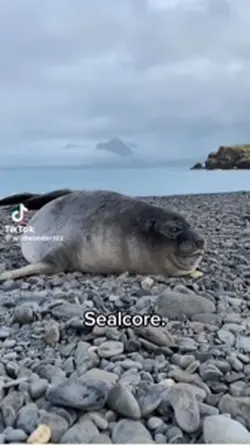 SEALCORE