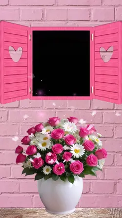 Window