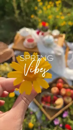 Spring vibes