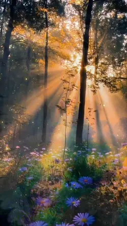 NATURE'S BEAUTY 