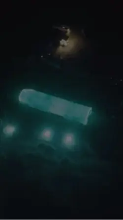 FREE MV