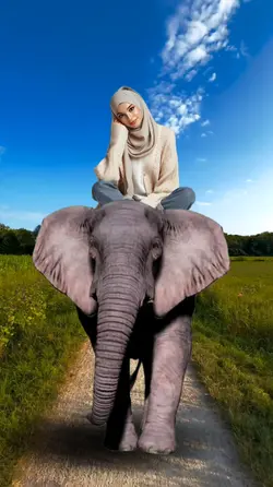 Naik Gajah