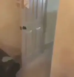 Come fight me