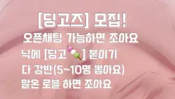 [딩고즈] 모집!