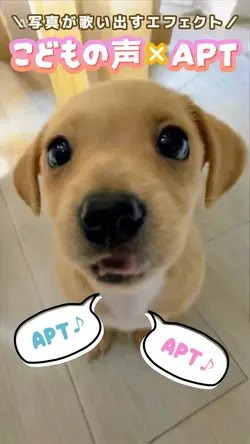 写真が歌い出す「あーぱつあぱつ」