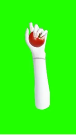 제페토 손모양 나눔