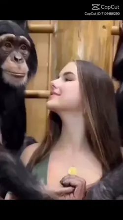 Girl kissing monkey