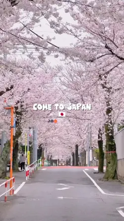 Come to japan