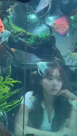 사용하면 짝남/짝여에게 연락오는템플릿