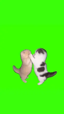 Shake It Shake It