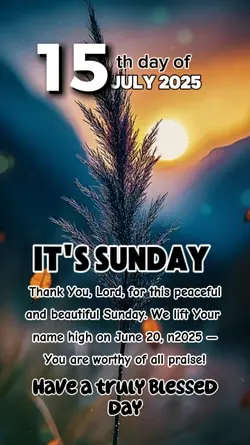 it's Sunday 