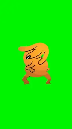 Dog dancing 