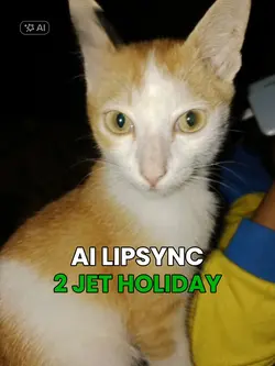 2 jet holiday 