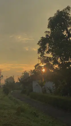 Video pagi hari