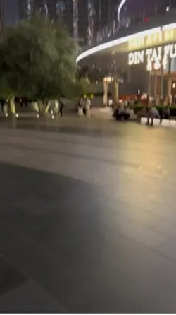 Dubai Clip 