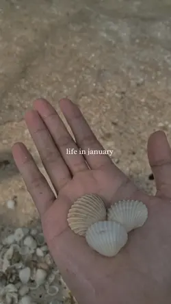 january dump