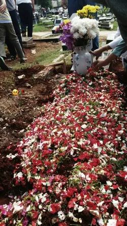 Tenanglah kau disana
