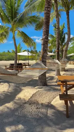 🏝️