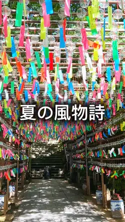 夏の風物詩