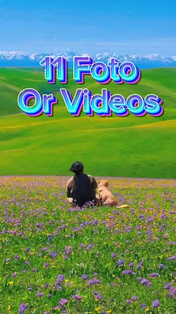 11 Foto Slide