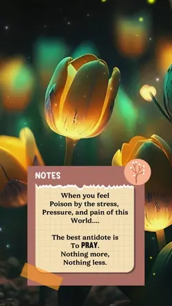 Notes
