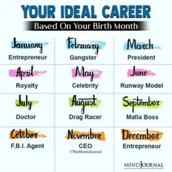 ideal career