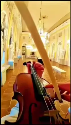 violon