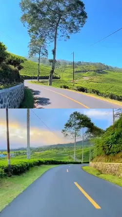 2 video 1 frame