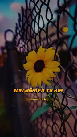 Şablon çok iyi 